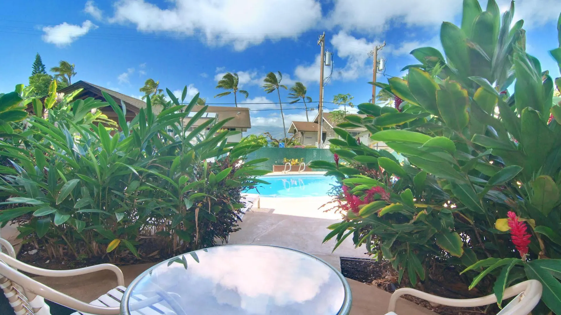 لاهينا Napili Sunset Beach Front Resort